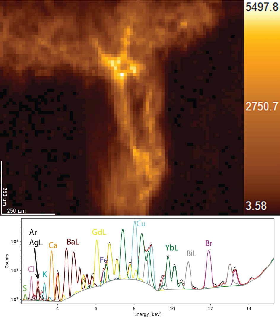 XRF_Image